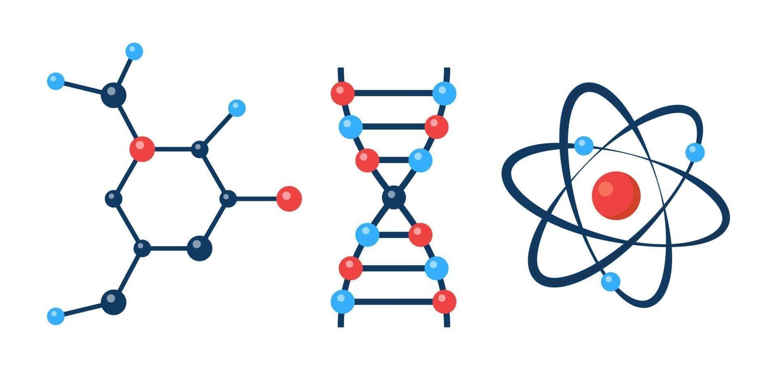 Genetic Hair Loss X Y